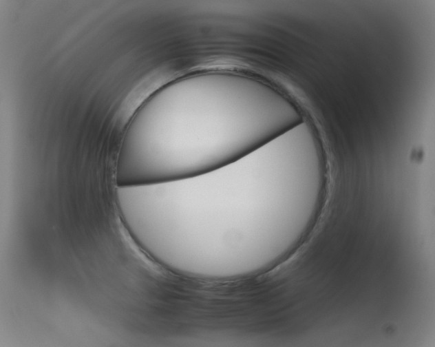 X0000115621329200911101047