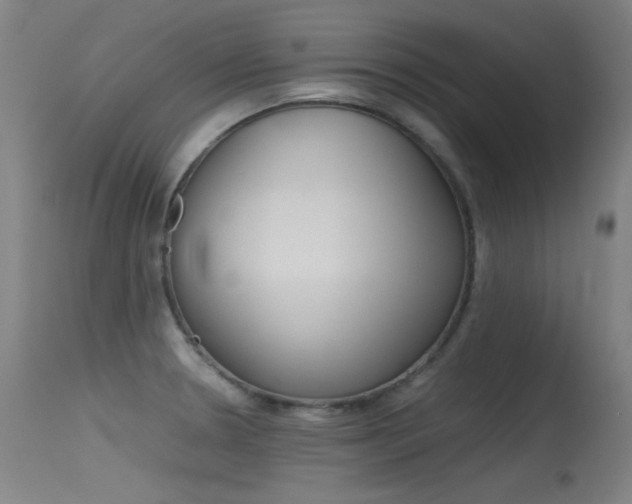 X0000115621330200911101047