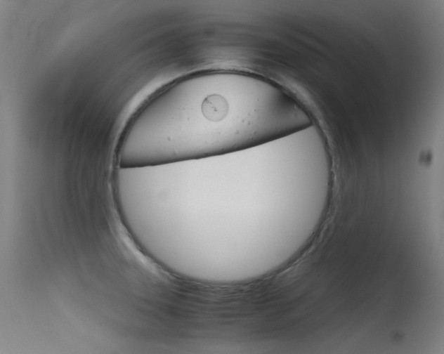 X0000115621331200911101047