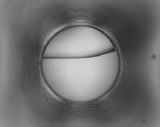 X0000115621333200911101047