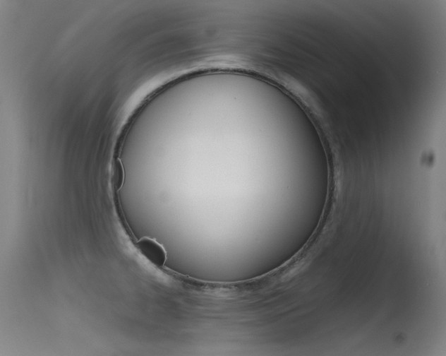 X0000115621334200911101047