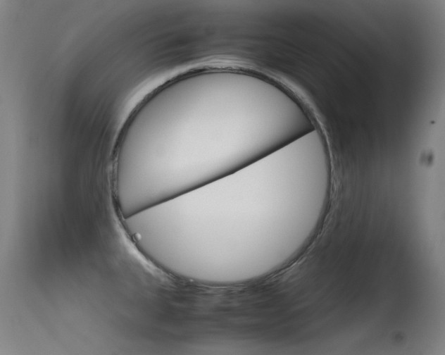 X0000115621335200911101047