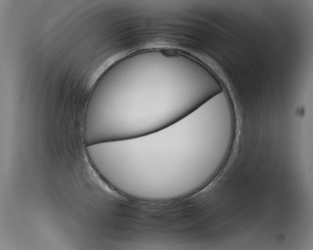 X0000115621337200911101047