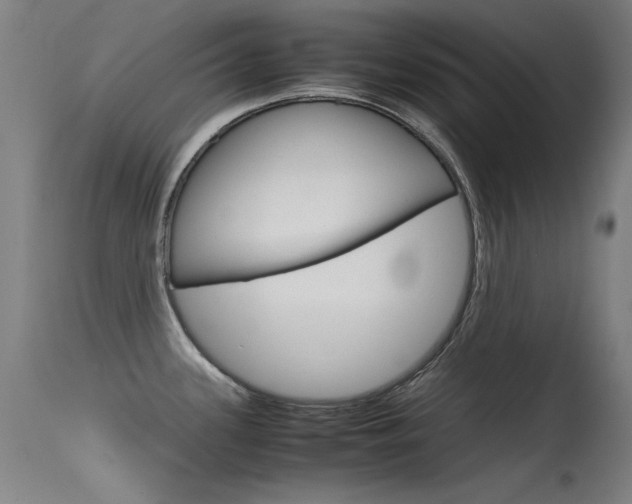 X0000115621339200911101047