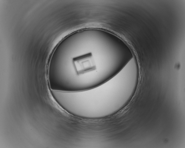 X0000115621342200911101047
