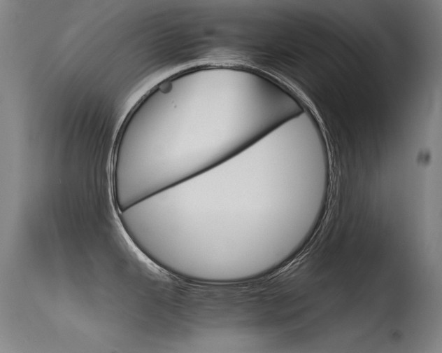 X0000115621343200911101047