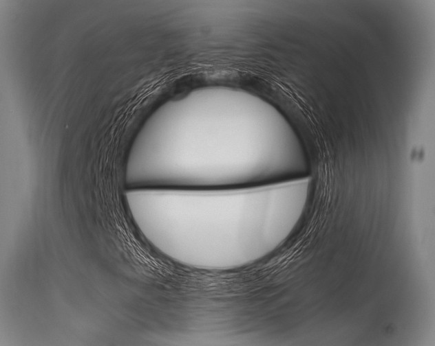 X0000115621345200911101047