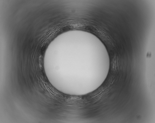 X0000115621346200911101047