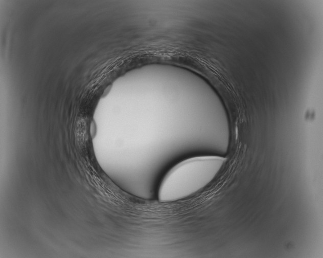 X0000115621347200911101047