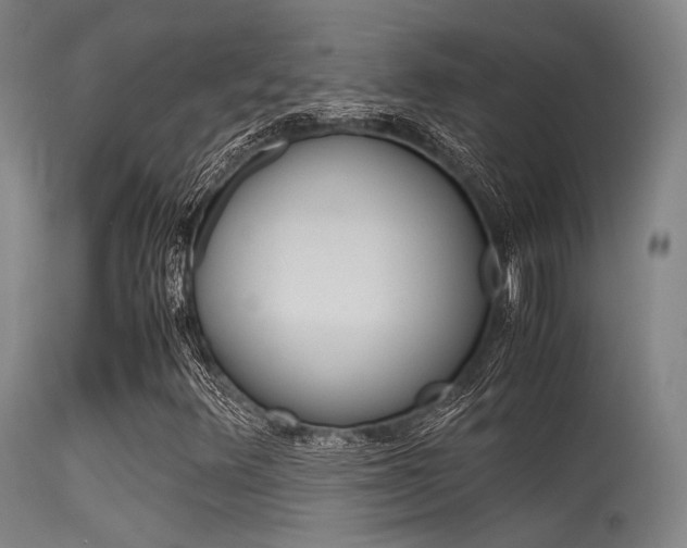 X0000115621348200911101047