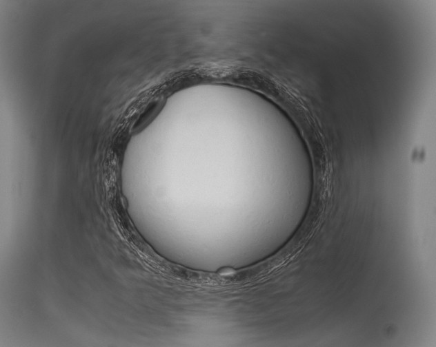 X0000115621349200911101047