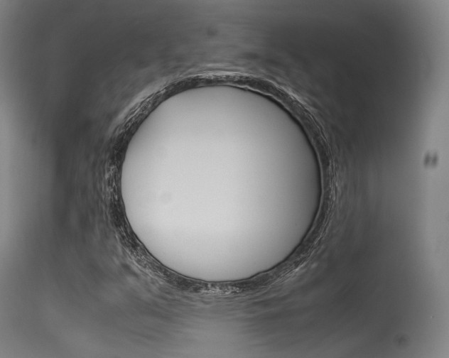 X0000115621351200911101047
