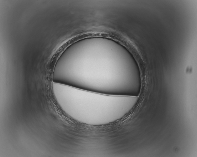 X0000115621352200911101046