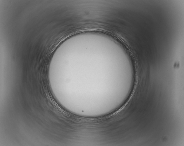 X0000115621353200911101046
