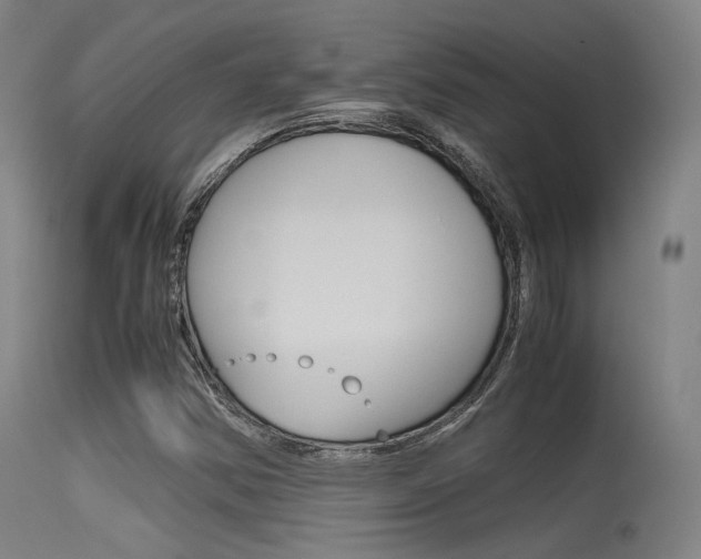 X0000115621354200911101046