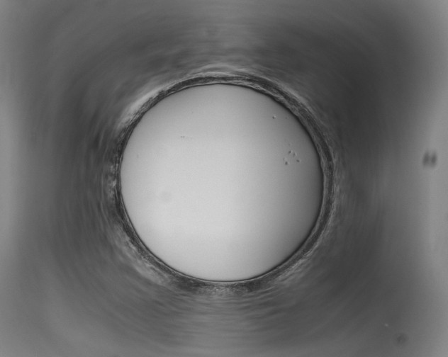 X0000115621355200911101046