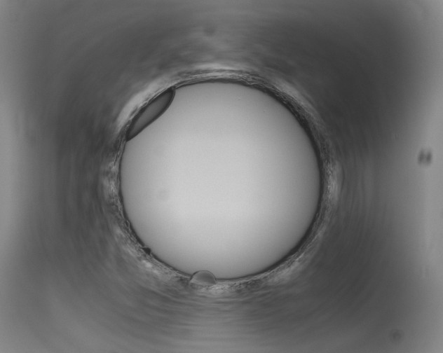 X0000115621357200911101046