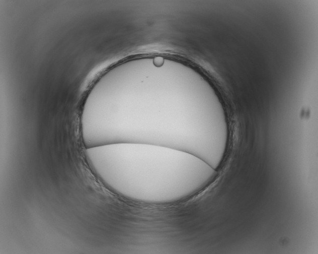 X0000115621358200911101046