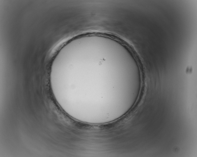 X0000115621359200911101046