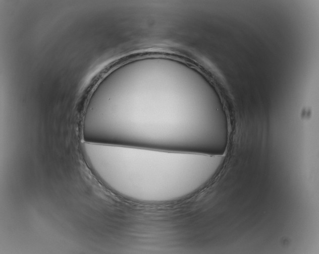 X0000115621360200911101046