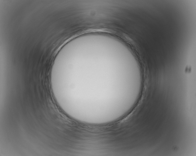 X0000115621361200911101046