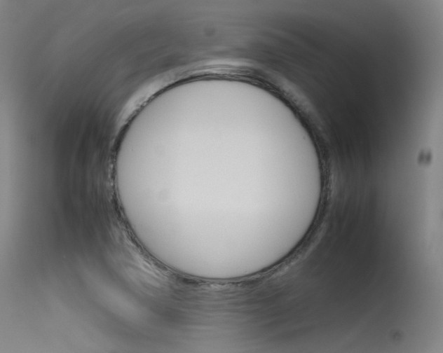 X0000115621362200911101046
