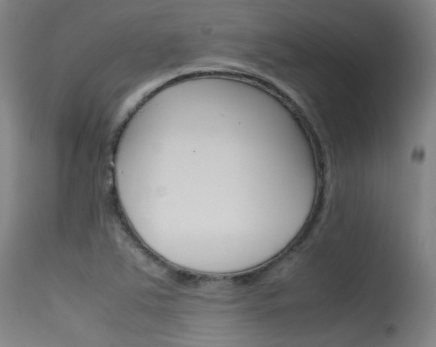 X0000115621363200911101046