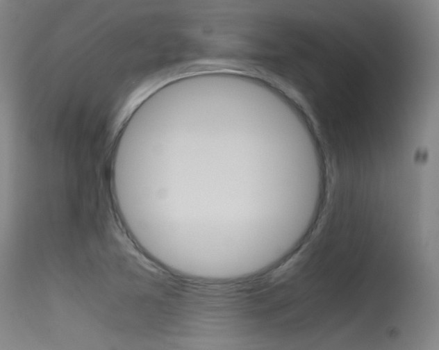 X0000115621365200911101046