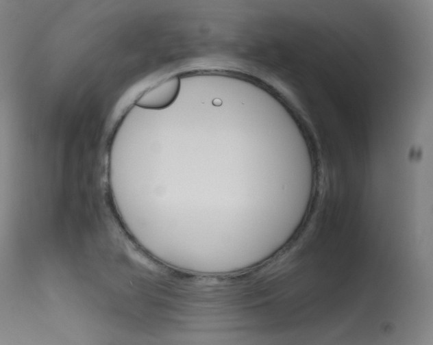 X0000115621366200911101046
