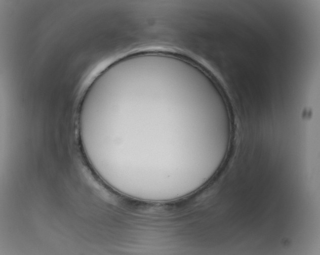 X0000115621367200911101046