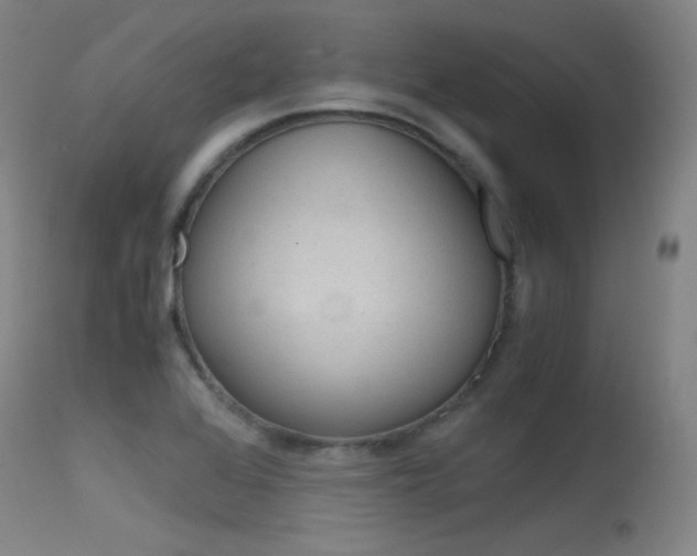 X0000115621368200911101046