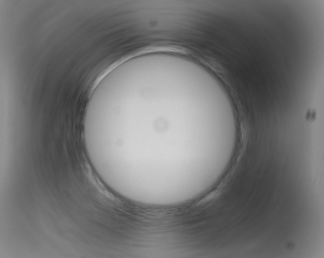 X0000115621369200911101046