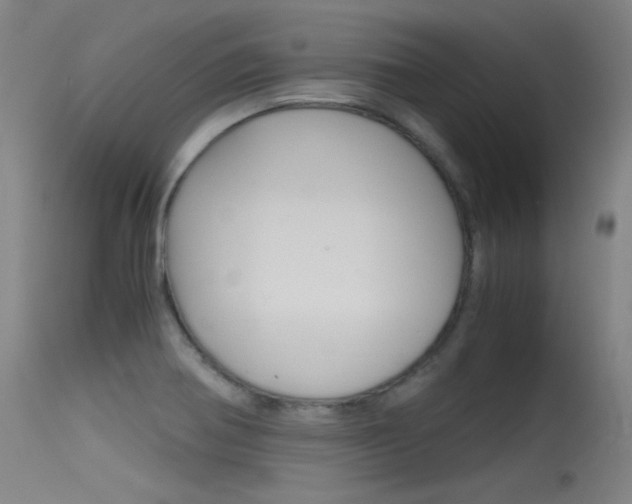 X0000115621370200911101046