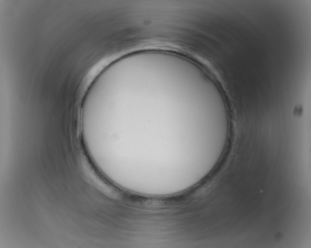 X0000115621371200911101046