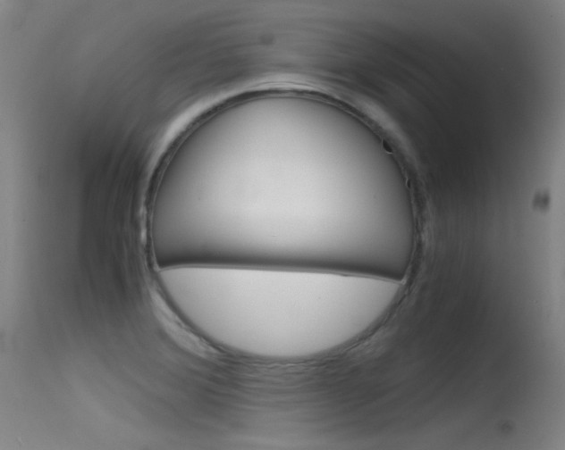 X0000115621372200911101046