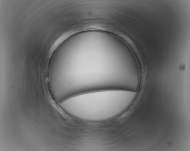 X0000115621373200911101046