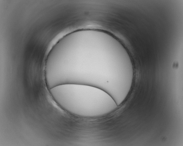 X0000115621374200911101046