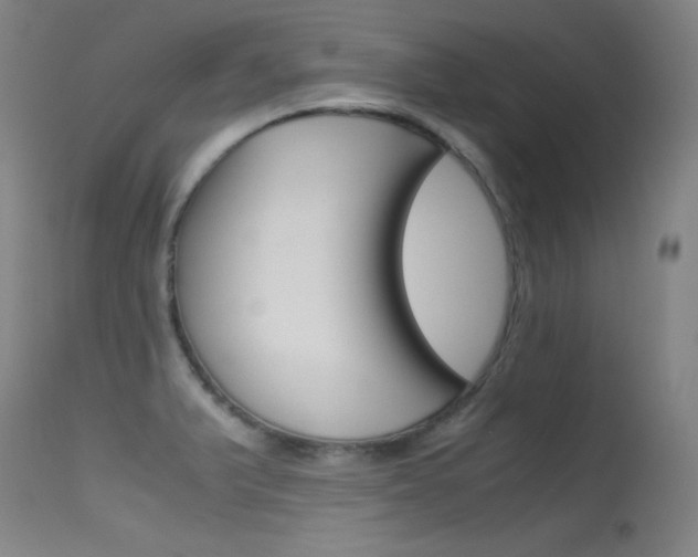 X0000115621375200911101046