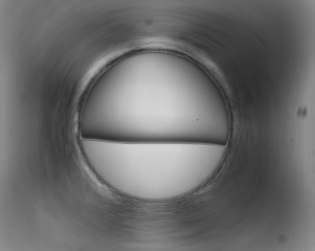X0000115621376200911101046