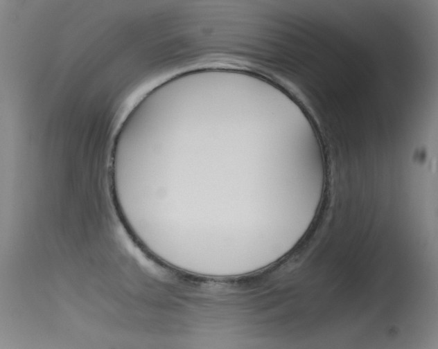 X0000115621379200911101046