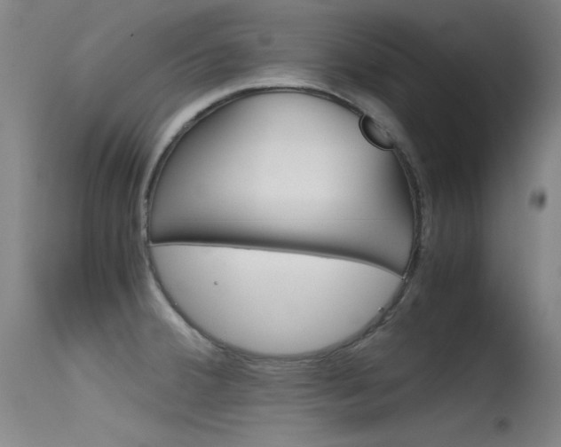 X0000115621380200911101046