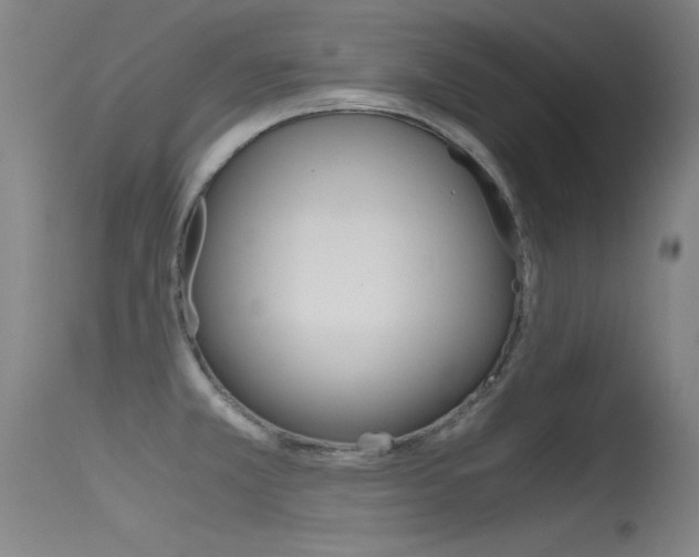 X0000115621381200911101046