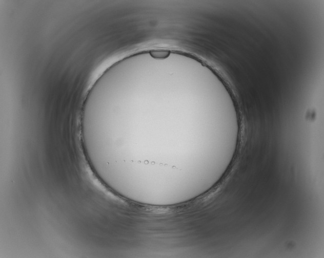 X0000115621382200911101046