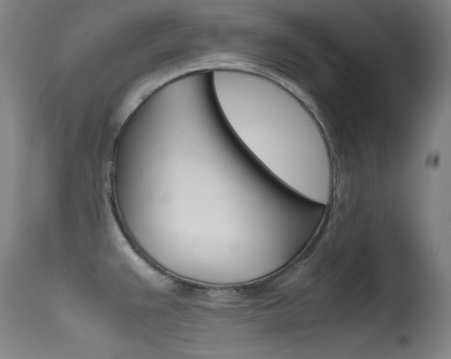 X0000115621383200911101046
