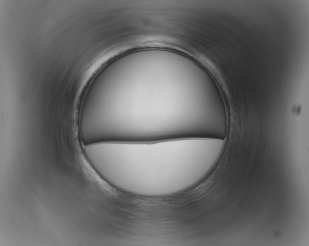 X0000115621384200911101046