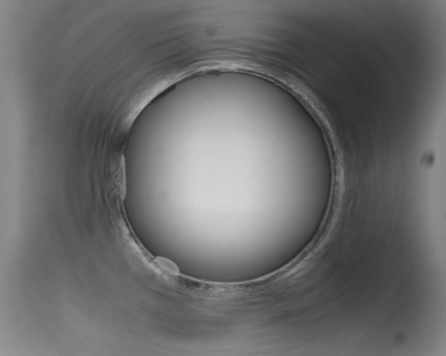 X0000115621385200911101046
