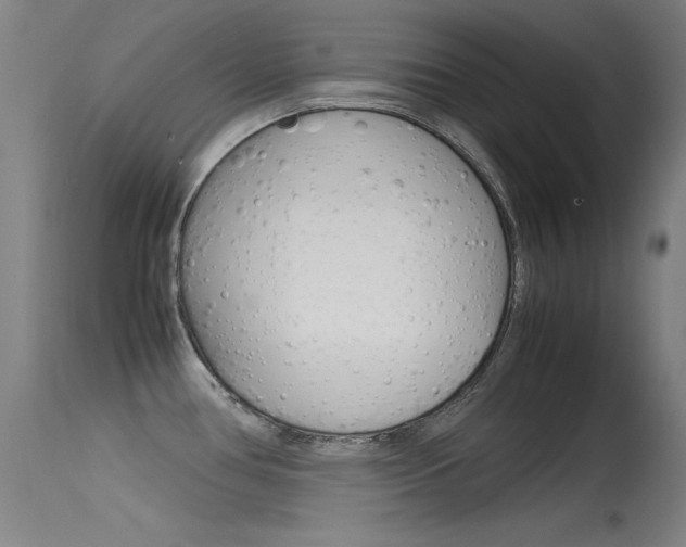 X0000115621386200911101046