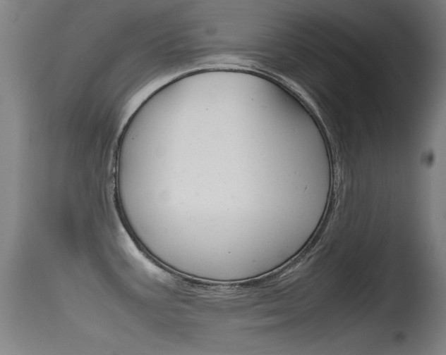 X0000115621387200911101046