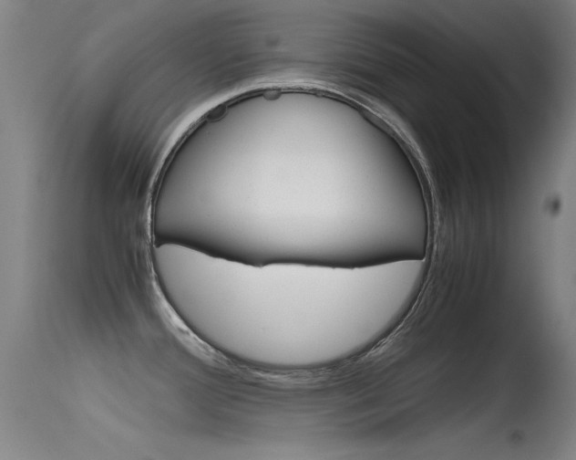 X0000115621388200911101046