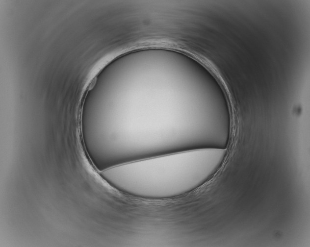X0000115621389200911101046